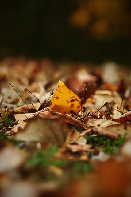 正能參透巴 正能參透巴