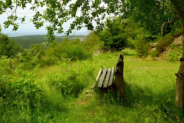在胜率上占 在胜率上占