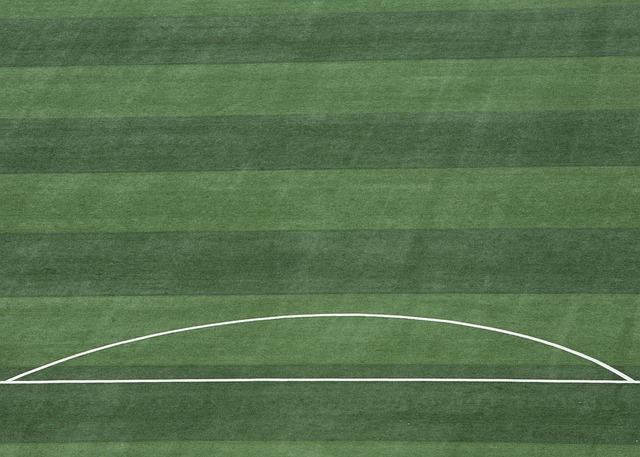 青年培养政 青年培养政