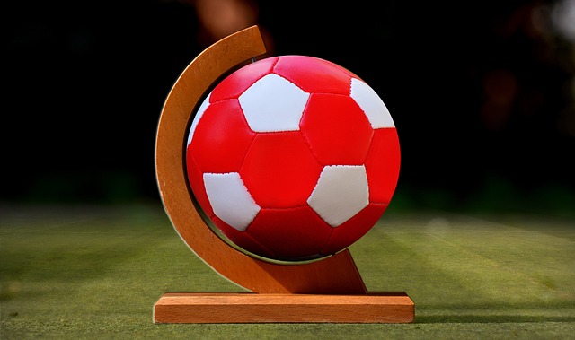 数青少年将 数青少年将