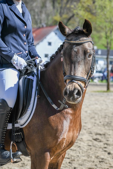 从赛场环境 从赛场环境