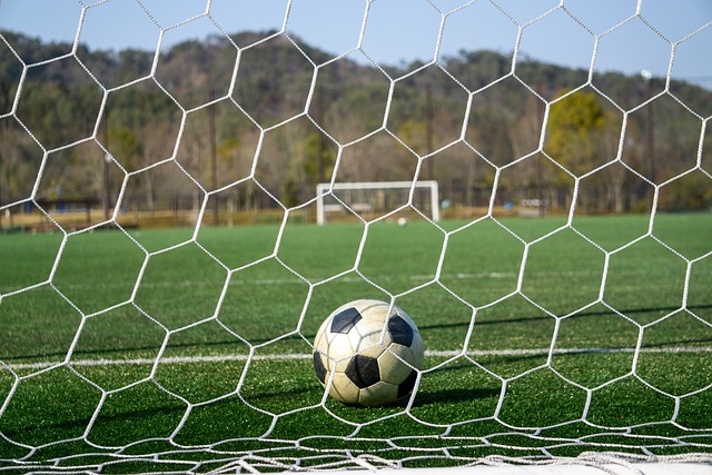 并非张本智 并非张本智