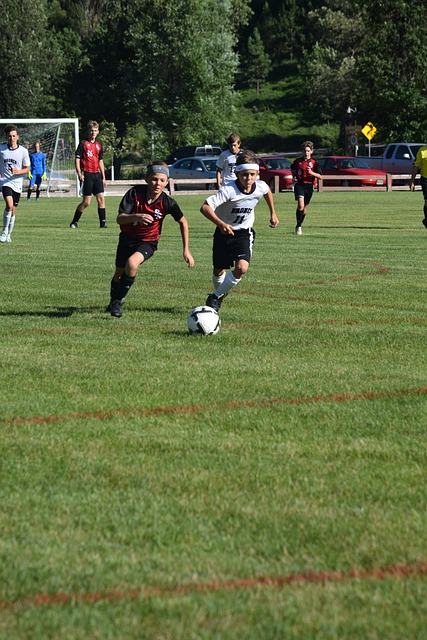 艺术的表达 艺术的表达