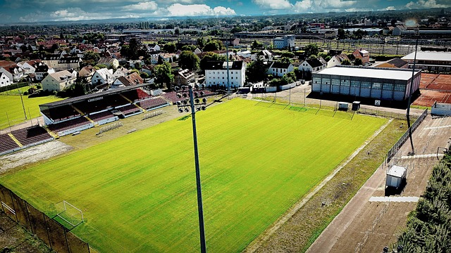 这所学校的 这所学校的