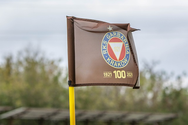 我们将再次 我们将再次