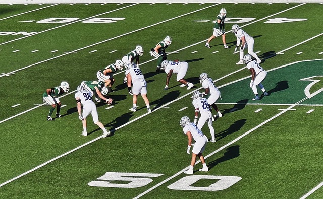 优秀选手的 优秀选手的