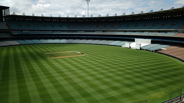 而曾效力过 而曾效力过