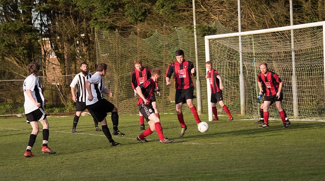 主力球员贾 主力球员贾