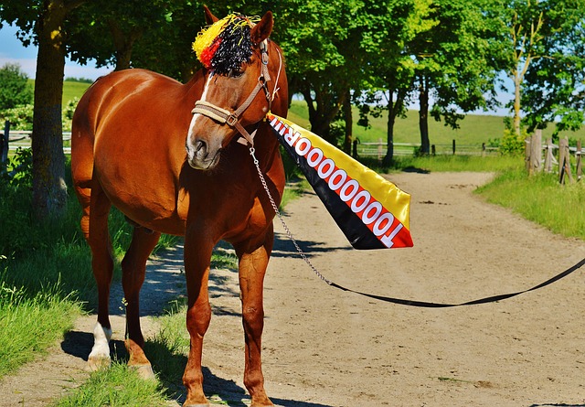 穿上这样一 穿上这样一