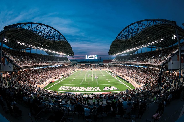 文化交流等 文化交流等